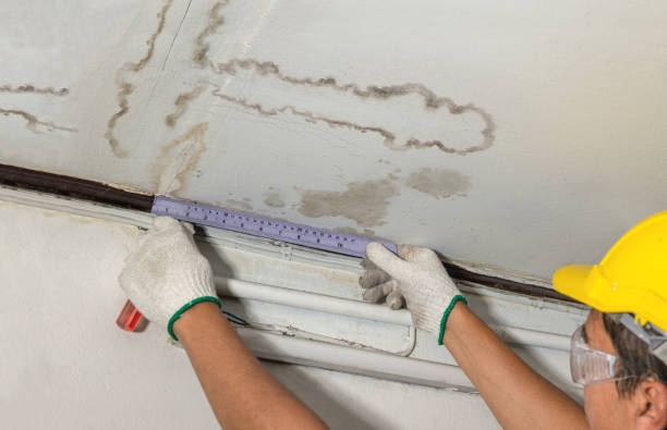 Reliable Mold Remediation contractor in Norwalk, OH by Water Damage Irwin